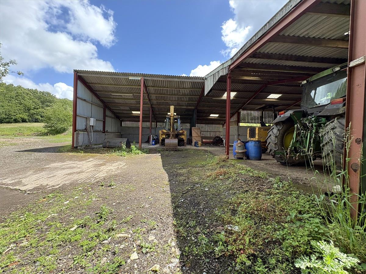 Property Image 3e813412-5903-40f3-bc36-a9f62399bef8