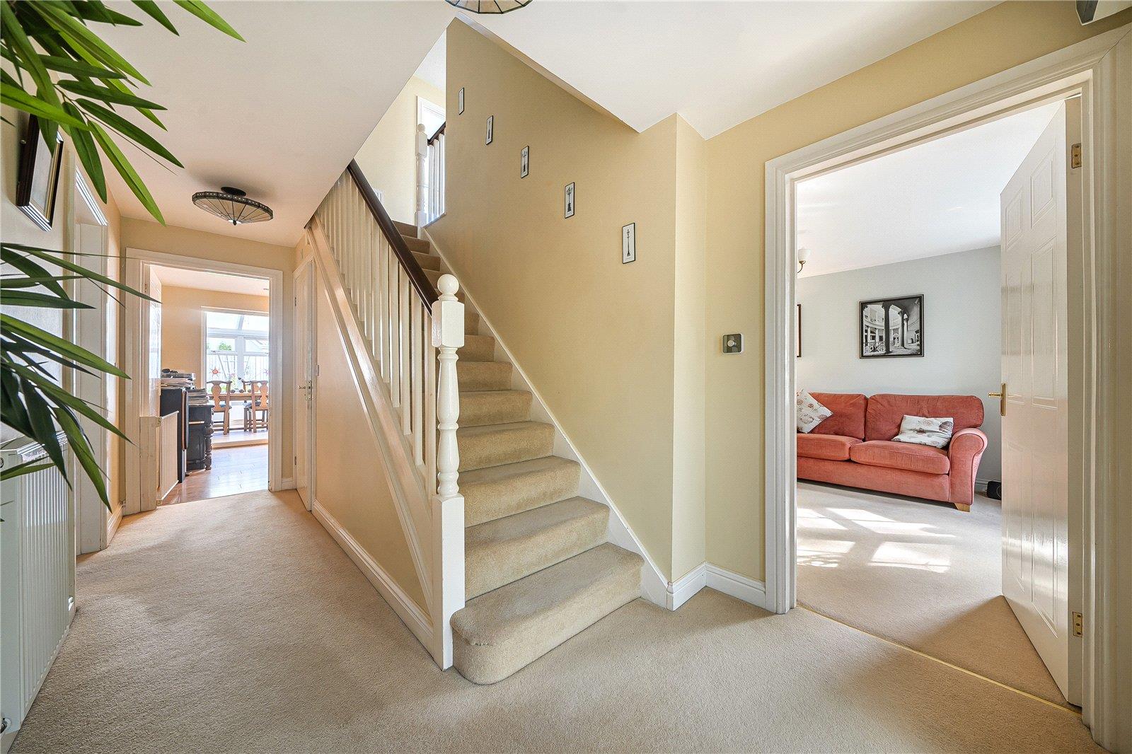 Property Image 3e996e52-6708-4e84-bc40-b9c7e8a5f2c3