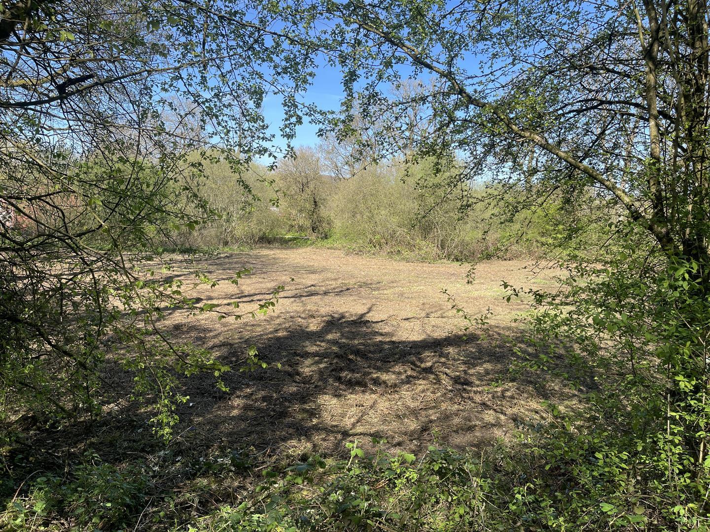 Property Image 3ea40d6b-1754-447e-b96a-2ae59ee7eab1