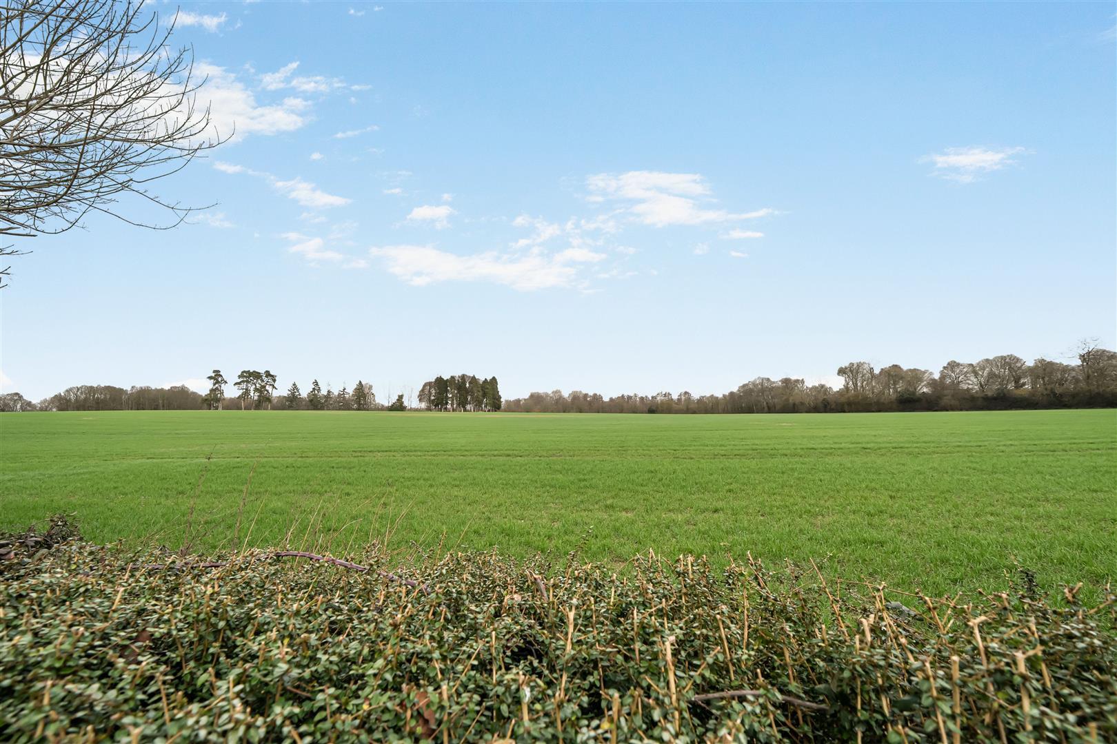 Property Image 3efa08b4-ef3d-4abb-ad7e-d6012dcb8880