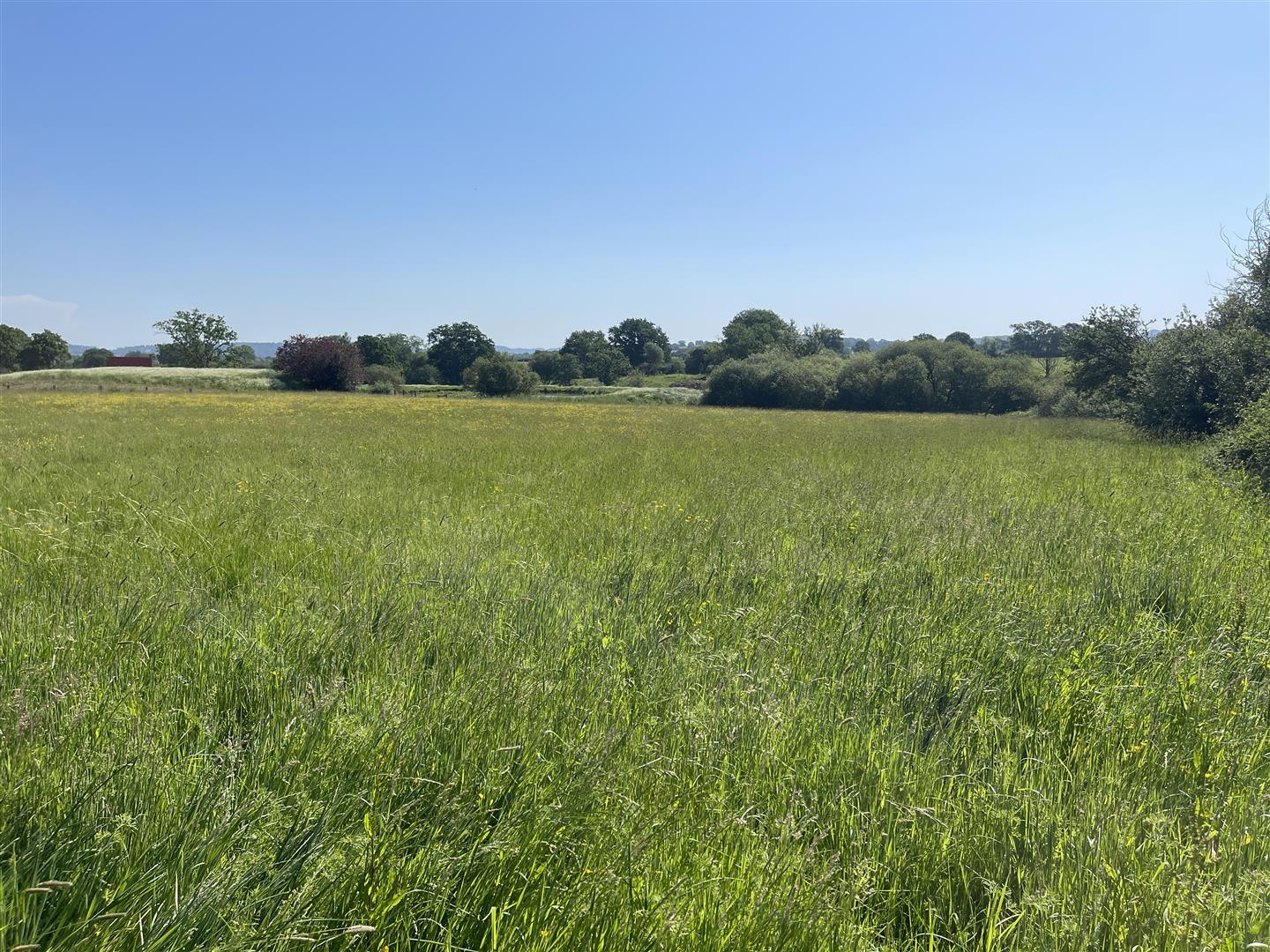Property Image 3f0bc71d-cbf1-4d73-b6da-0556be225de3
