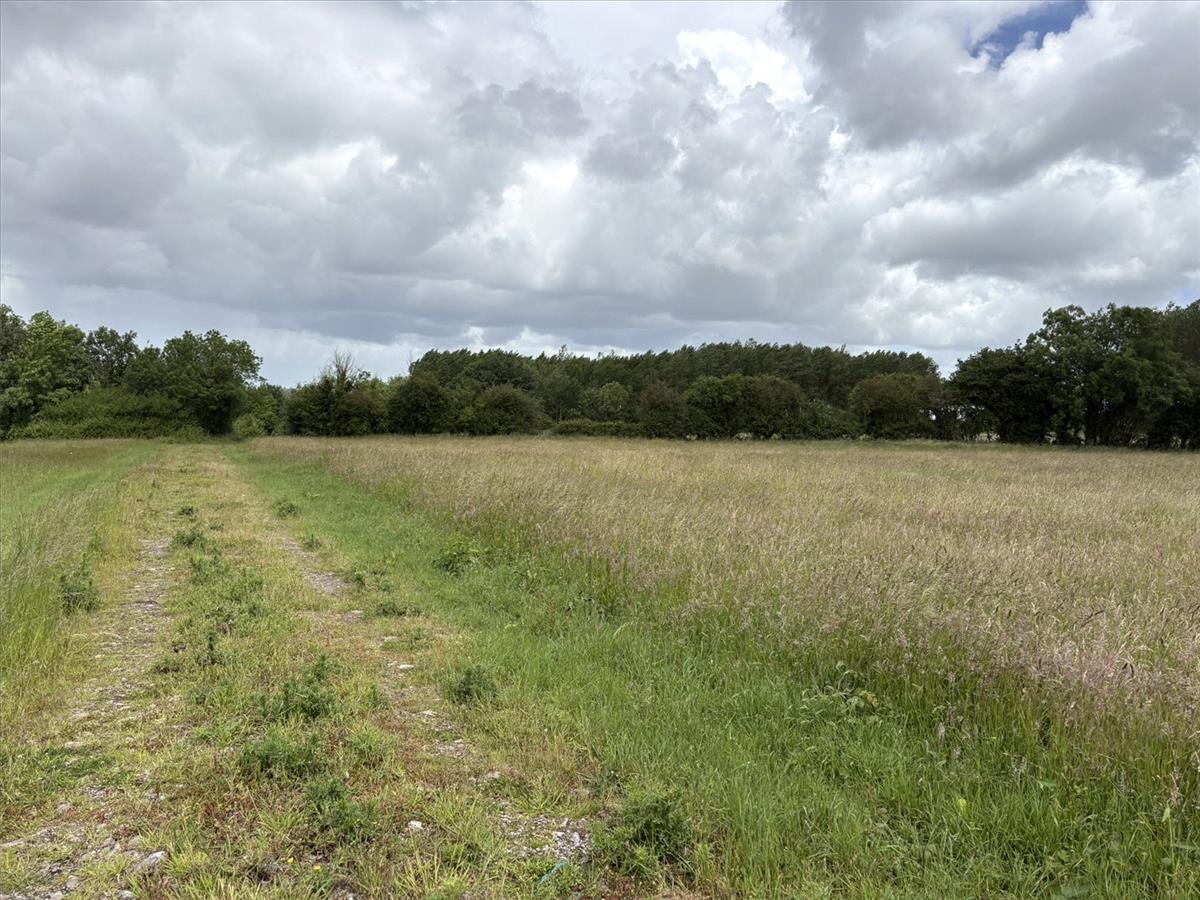 Property Image 3f2e9f88-89cc-49bc-aae8-b5e6bf793802
