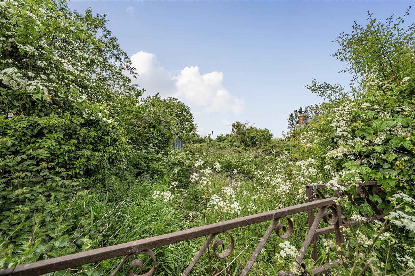Property Image 3f3794ba-06b0-48d4-a942-22f4b063c489