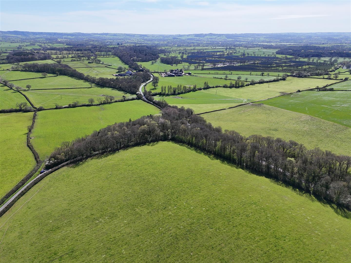 Property Image 3f57b949-bb29-4e33-8fea-1b08d8dabc31