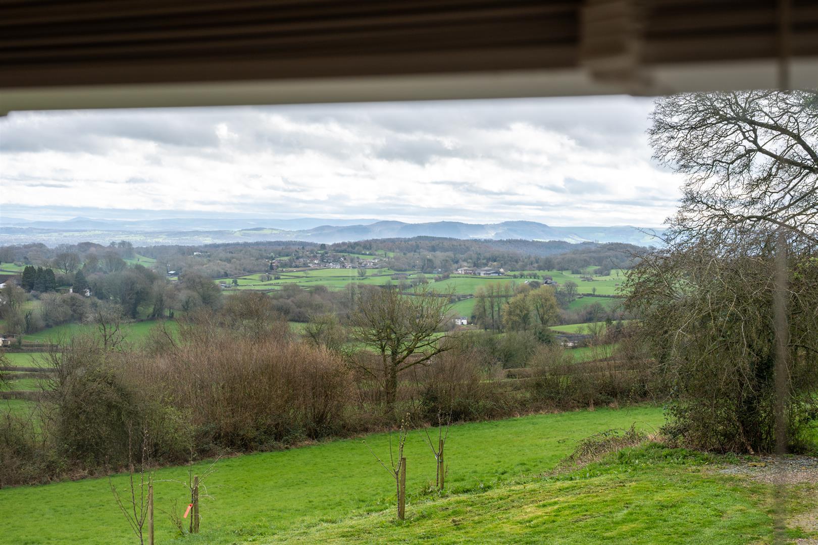 Property Image 3f5fd91c-913d-41b1-bbfe-9cafda33f1fb