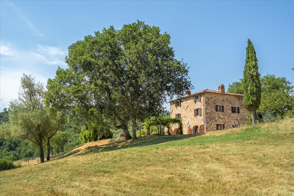 Property Image 3f7ad178-2023-4b53-9a93-f6785a38efdf