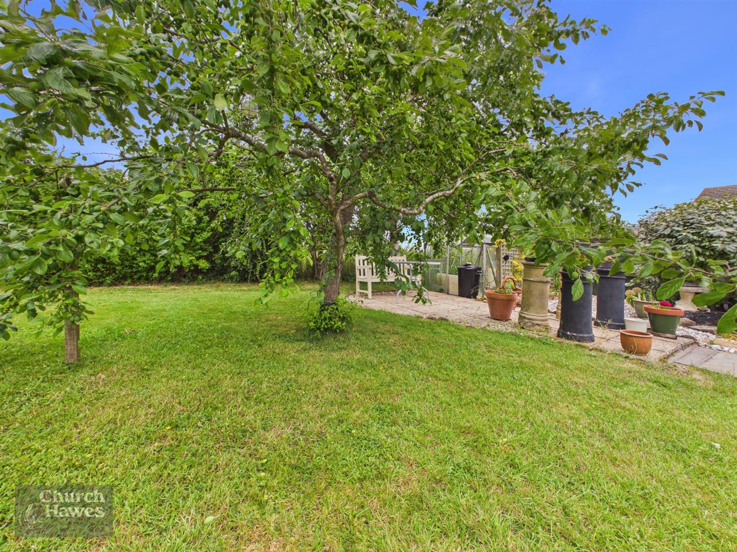 Property Image 3f956cdd-a2bc-4e7d-bdd6-2db2a9155f31