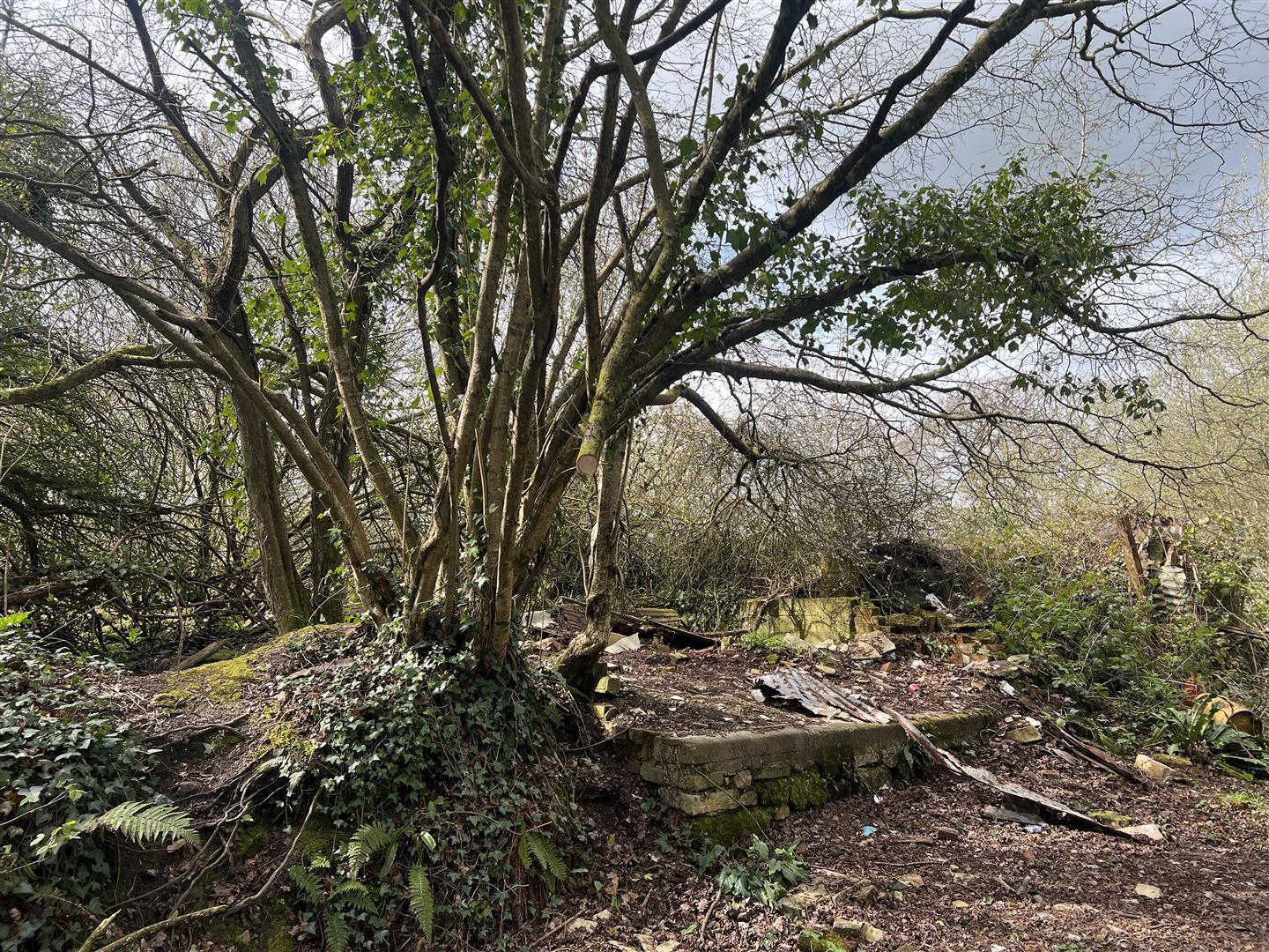 Property Image 400ea40f-d820-427c-867a-0bb98b0a24cb
