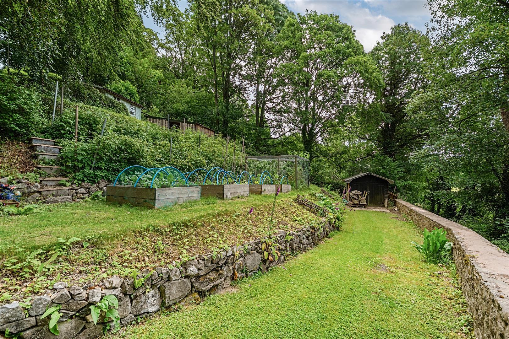Image 20