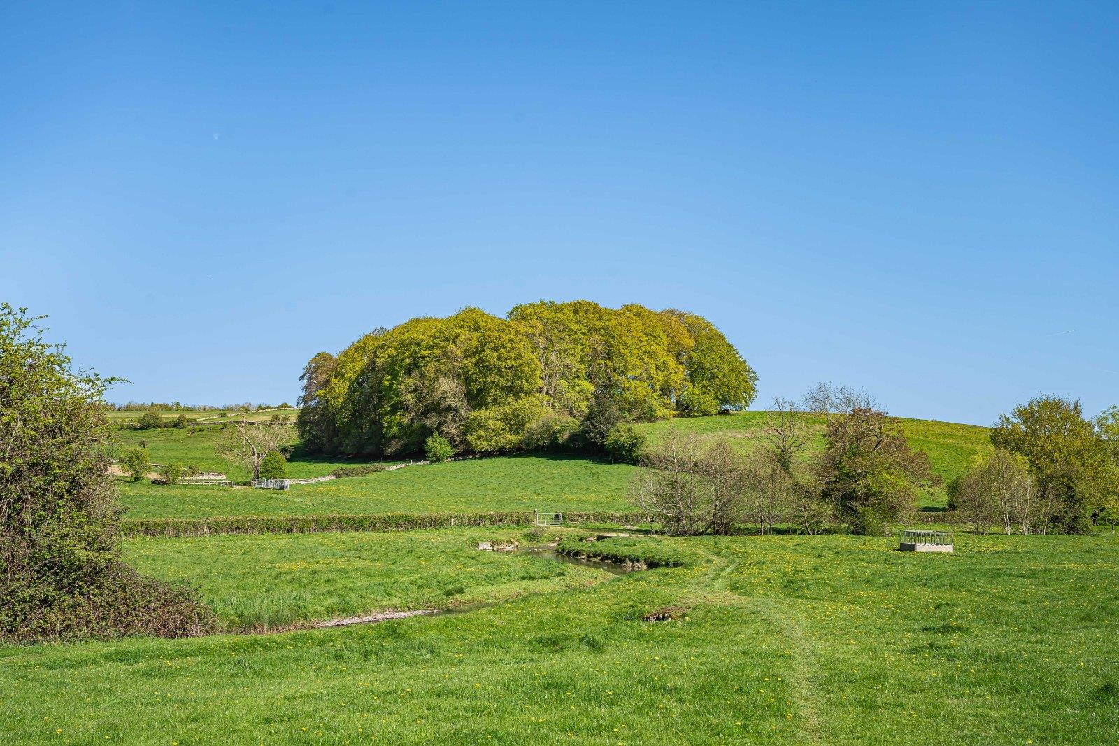 Property Image 4040a883-2192-4054-be36-2772ef565ec8