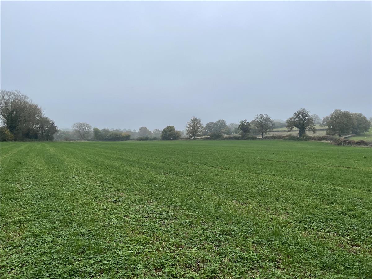 Property Image 4045f982-506a-4454-8cf1-fe9cd4c72ac8