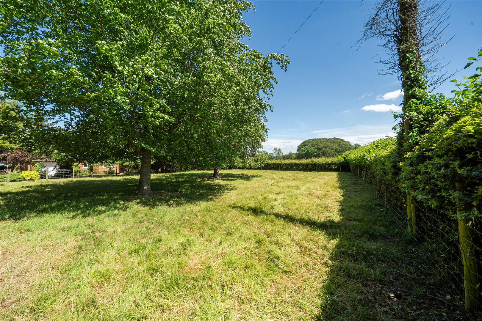 Image 13