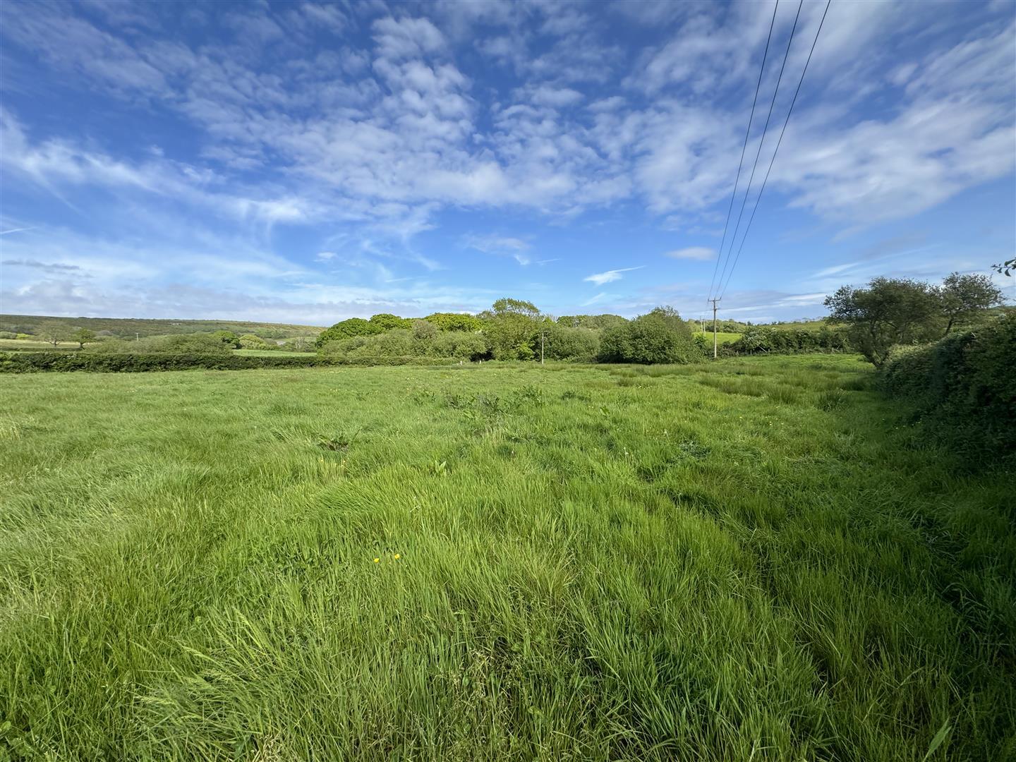 Image 22