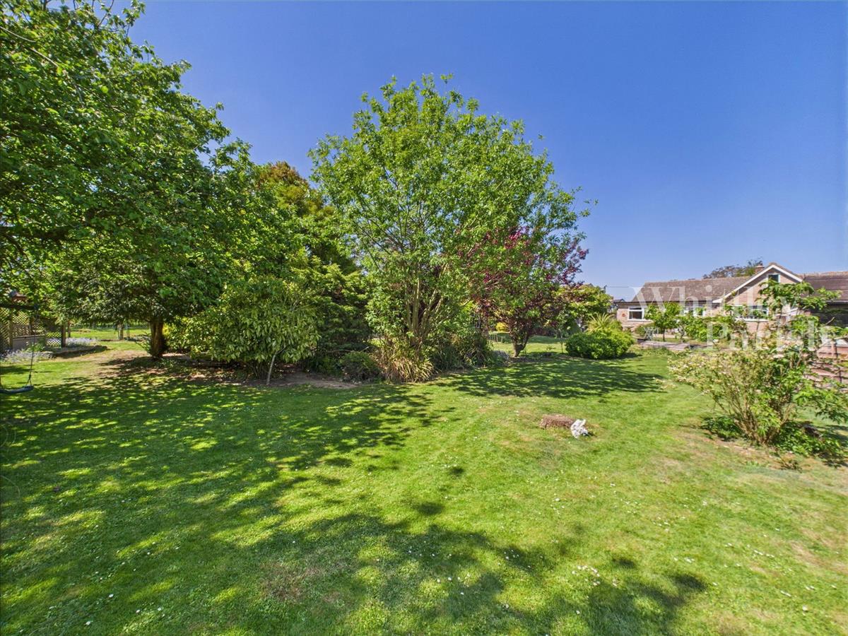 Property Image 40aa783c-6b97-4f98-9a4d-16a94b545fda