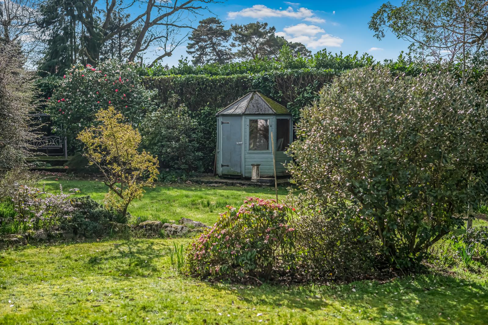 Property Image 40da2a16-7cd7-45dd-9aa8-34b238e194f0