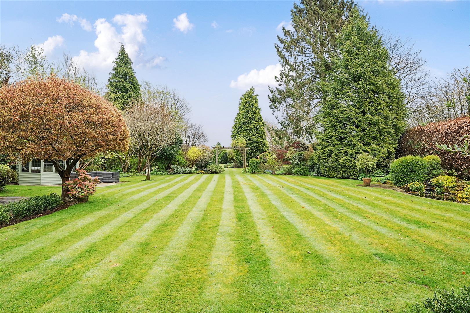 Property Image 40fbac30-a4f8-4208-b311-b764835d732f