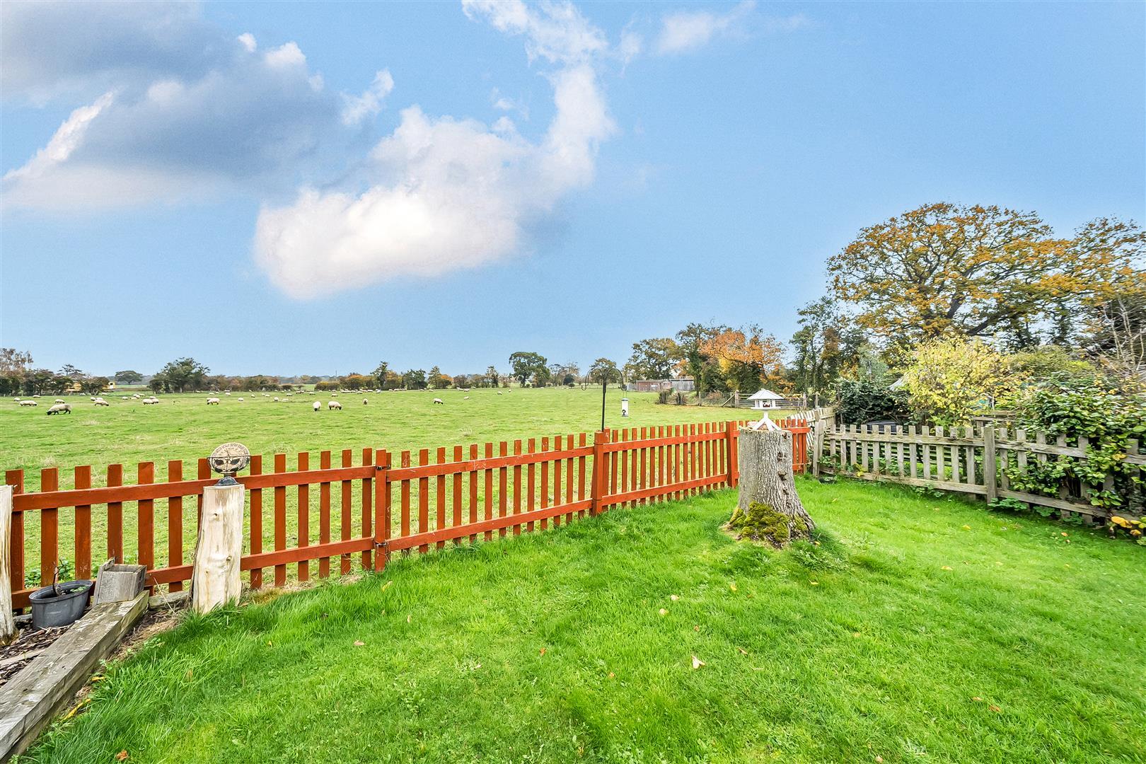 Property Image 40fbbb5f-a6c0-430d-9ad4-241757fbadec