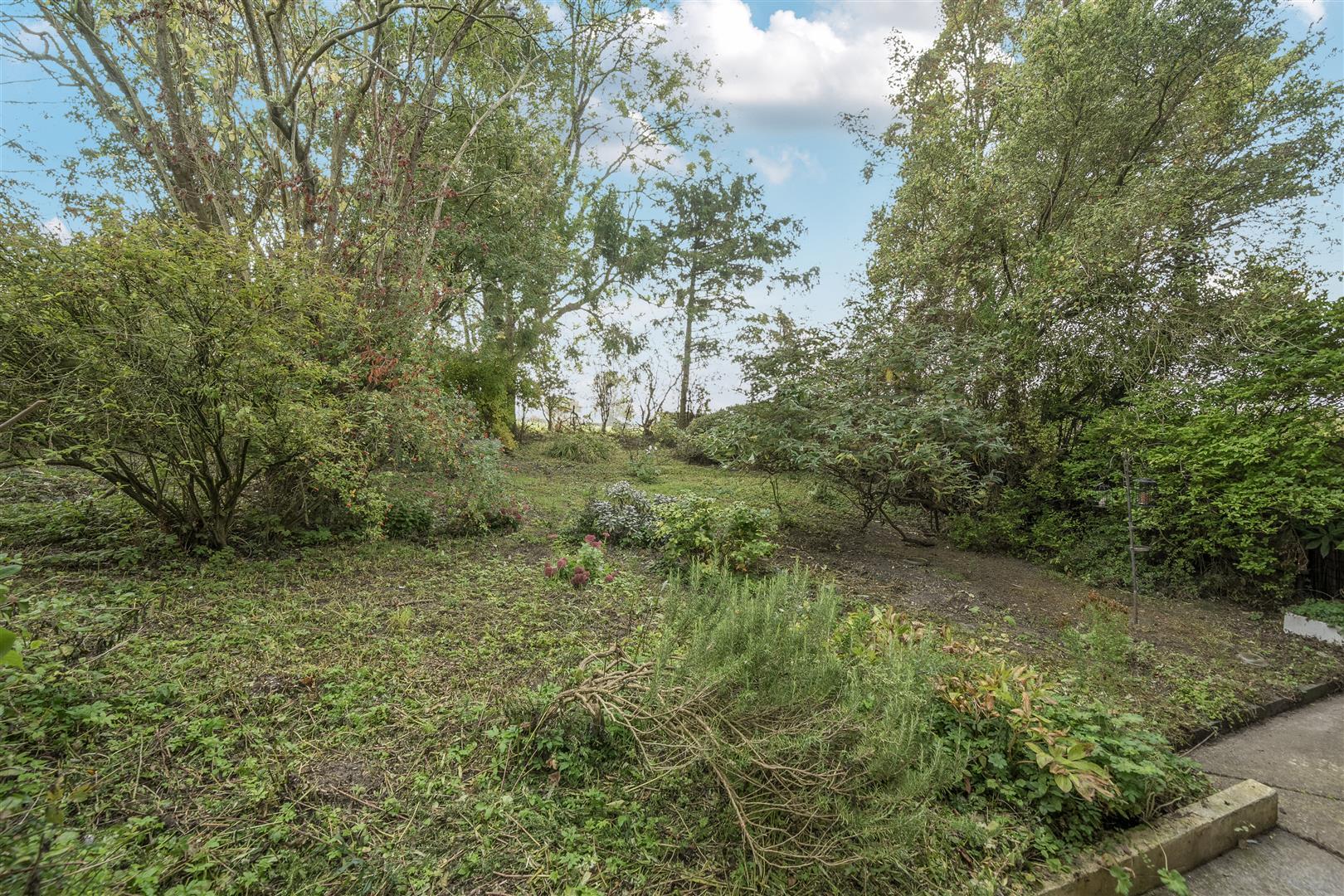 Property Image 410493ab-d41b-450c-be0b-1f954ec5b5e3
