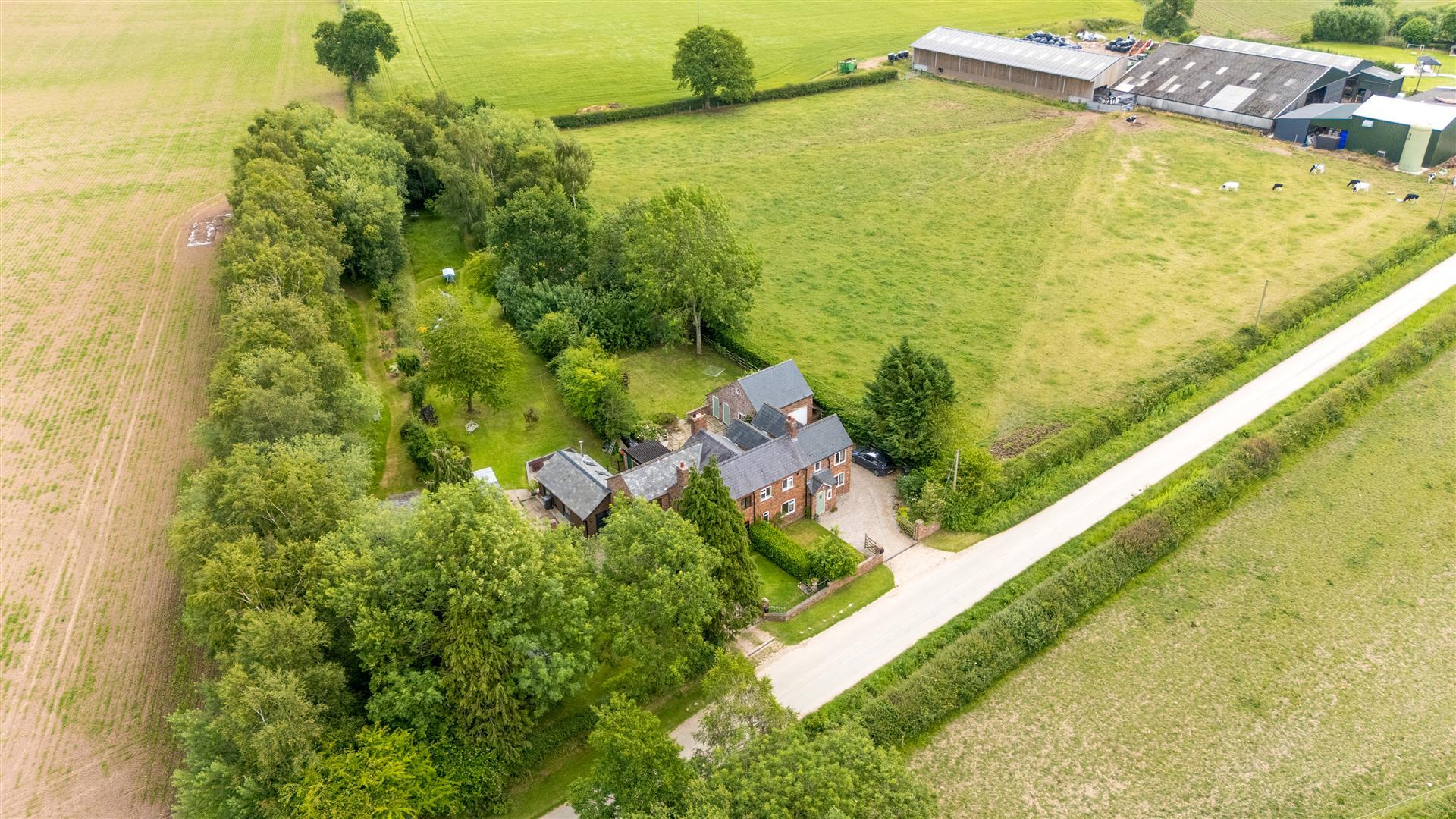 Property Image 41646ce3-0bee-4744-bbde-702e87d601d2