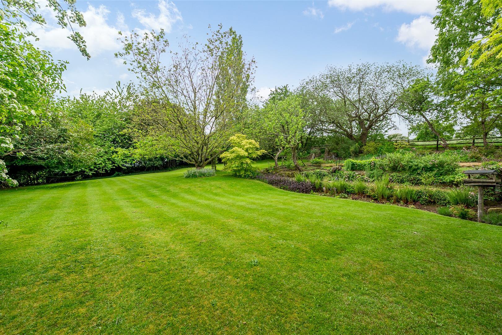Property Image 418579b1-4ae6-40ff-a39c-4063d9feef31