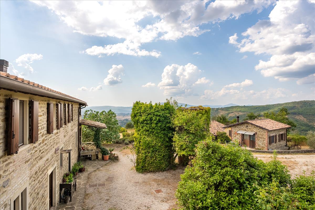 Property Image 418ad234-f69b-484a-b361-f9a520338281