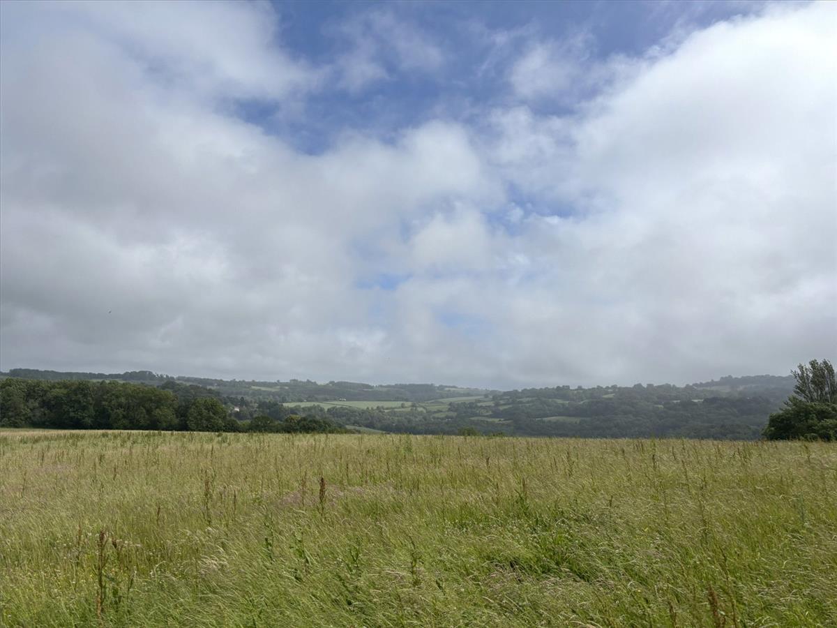 Property Image 418c5aac-797d-4801-8c52-2f247fb6772e