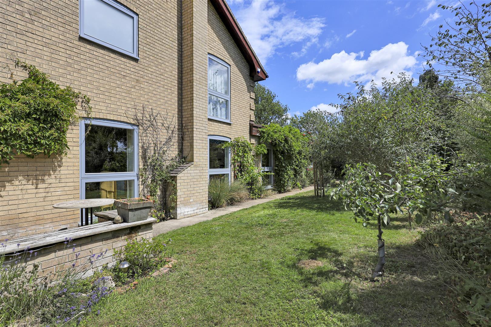 Image 29