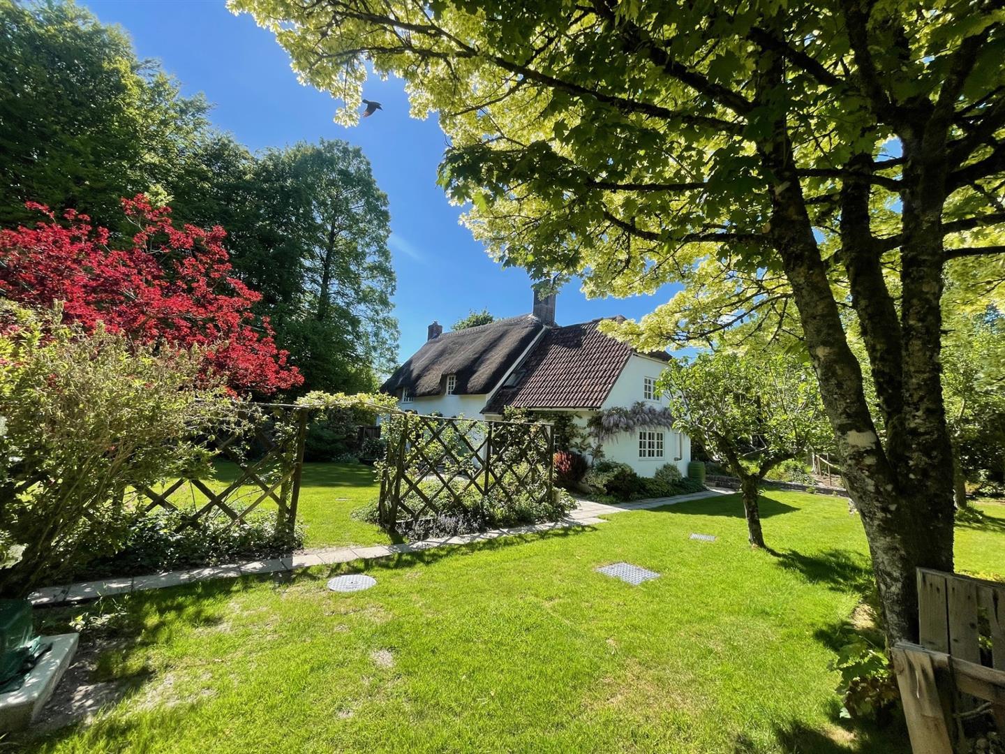 Property Image 421aa157-ef6c-4ad3-b51d-fe0f905b6c48