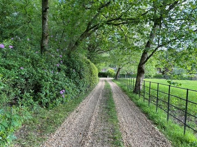 Image 28