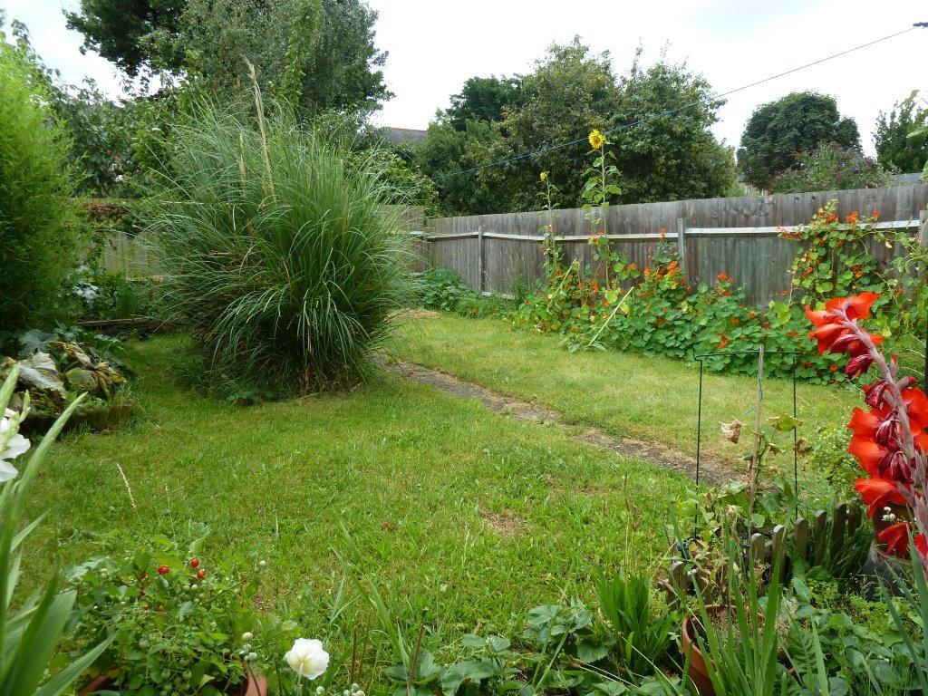 Property Image 42a66976-517f-4bbe-acc0-32cc6cafd0ca