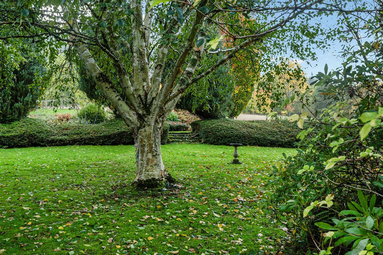 Property Image 42b29c48-8d75-43f1-a71b-f3d911818ec4