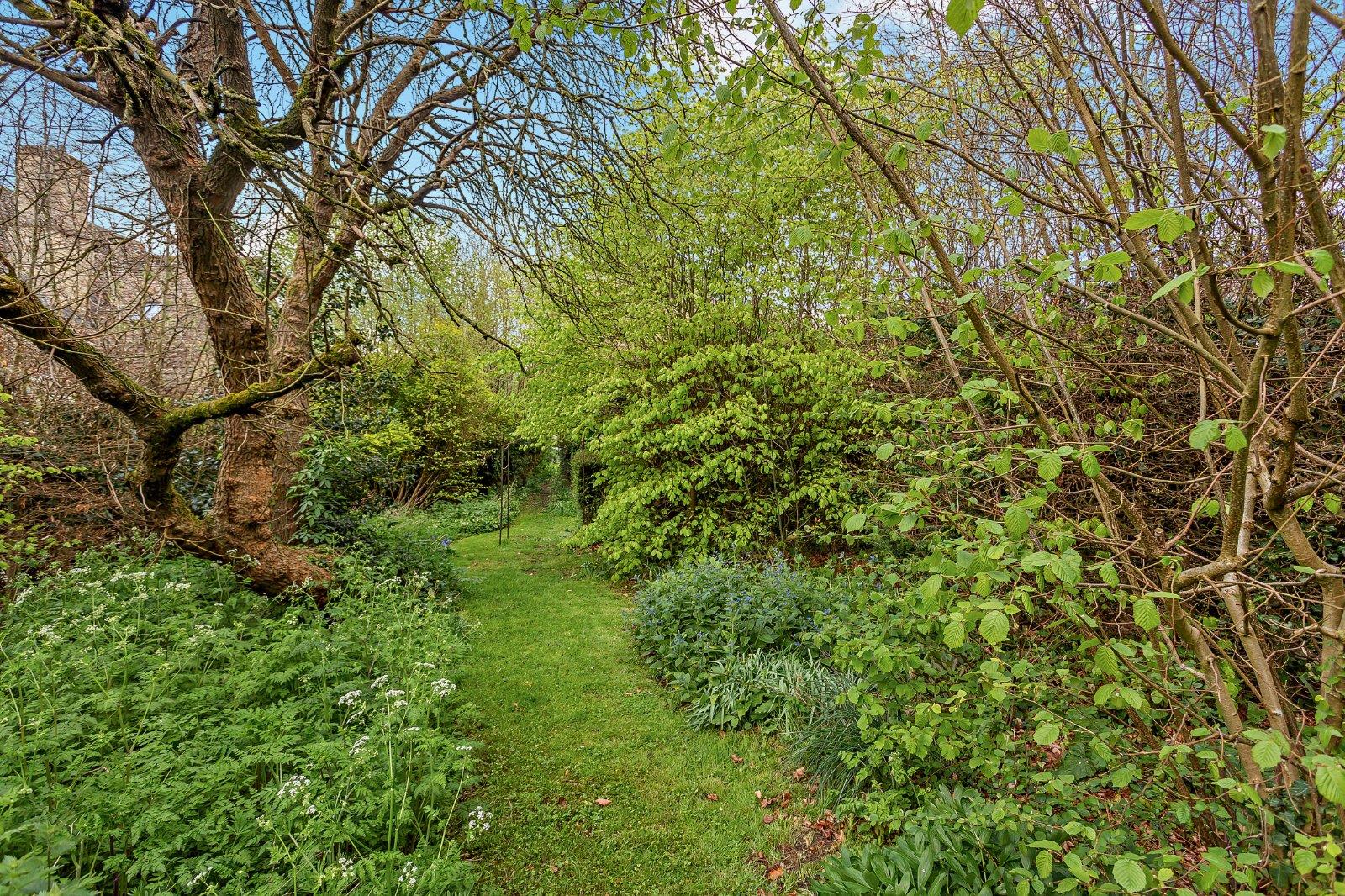 Image 18