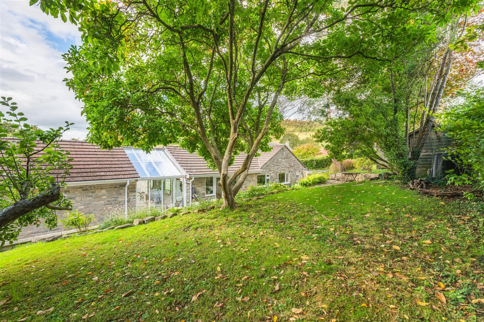 Property Image 42fc1703-b833-4cf3-b215-68efae2889a6