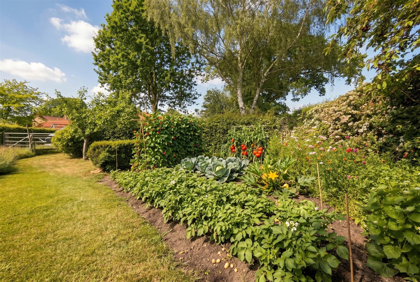 Property Image 431a6a3a-5b91-43bb-9f6a-370a2198ec65