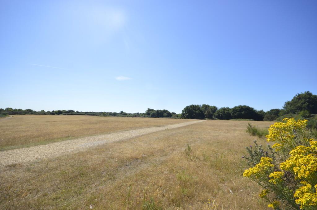 Property Image 434ff58d-90a8-4a45-9aa6-7752148e1966