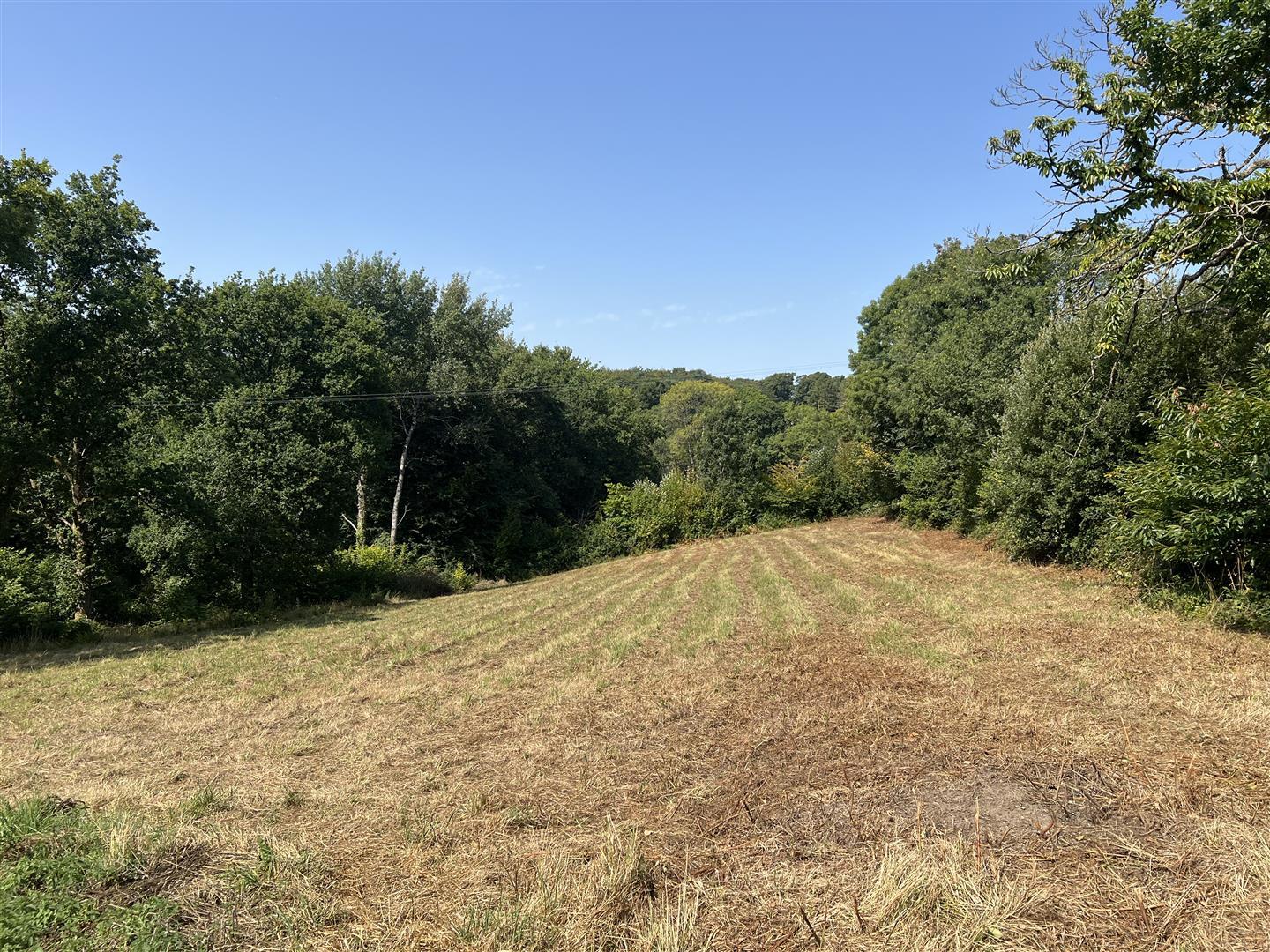 Property Image 438ac246-4eef-4020-8f58-27f6d0928097