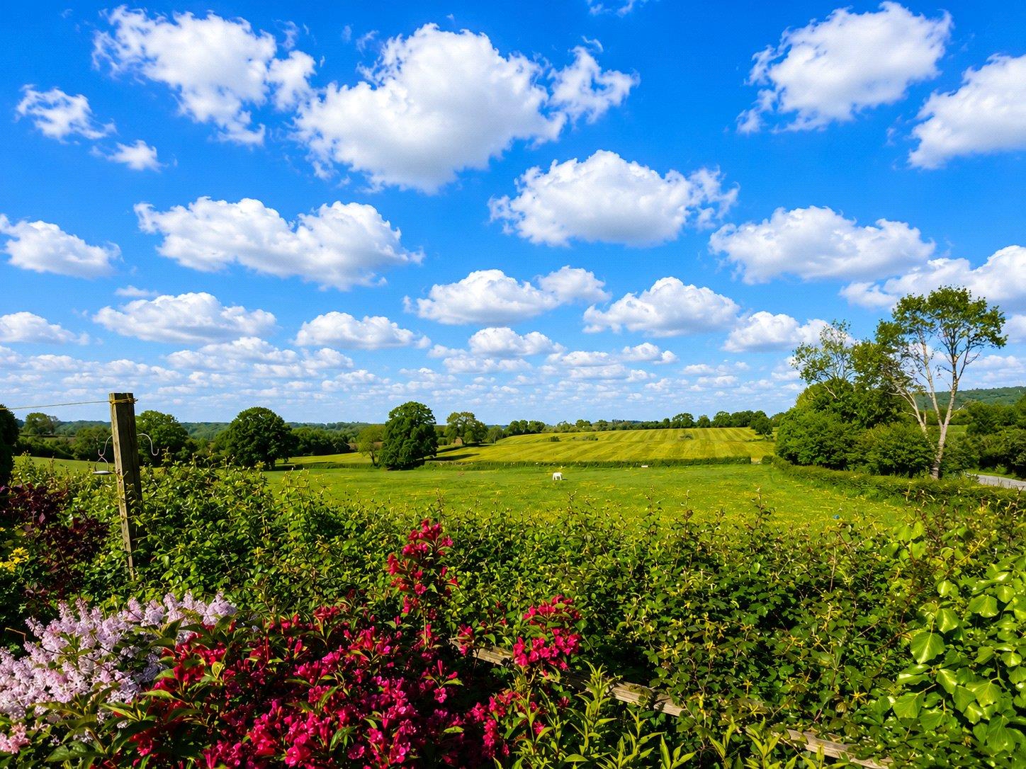 Property Image 438b53ef-1c33-448b-b555-ad3b59e4c36a