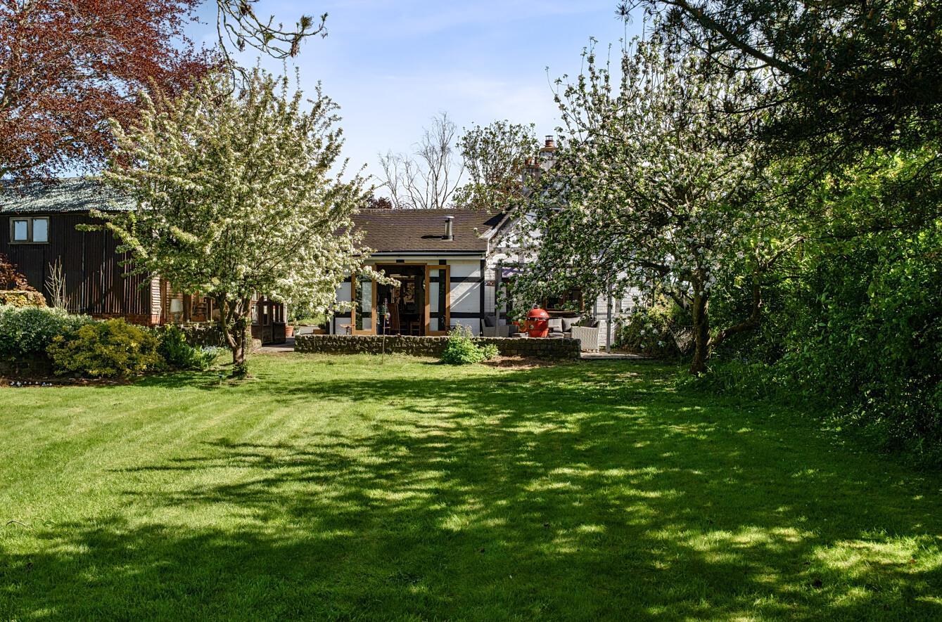 Property Image 43c1868e-0c39-475c-8f22-e93b1a2ed9f3