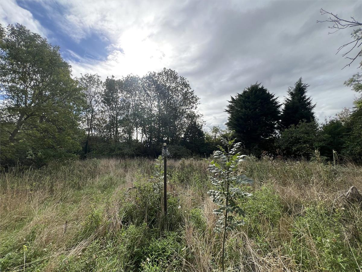 Property Image 44255882-4bc4-4a6e-9543-d0369bc38015