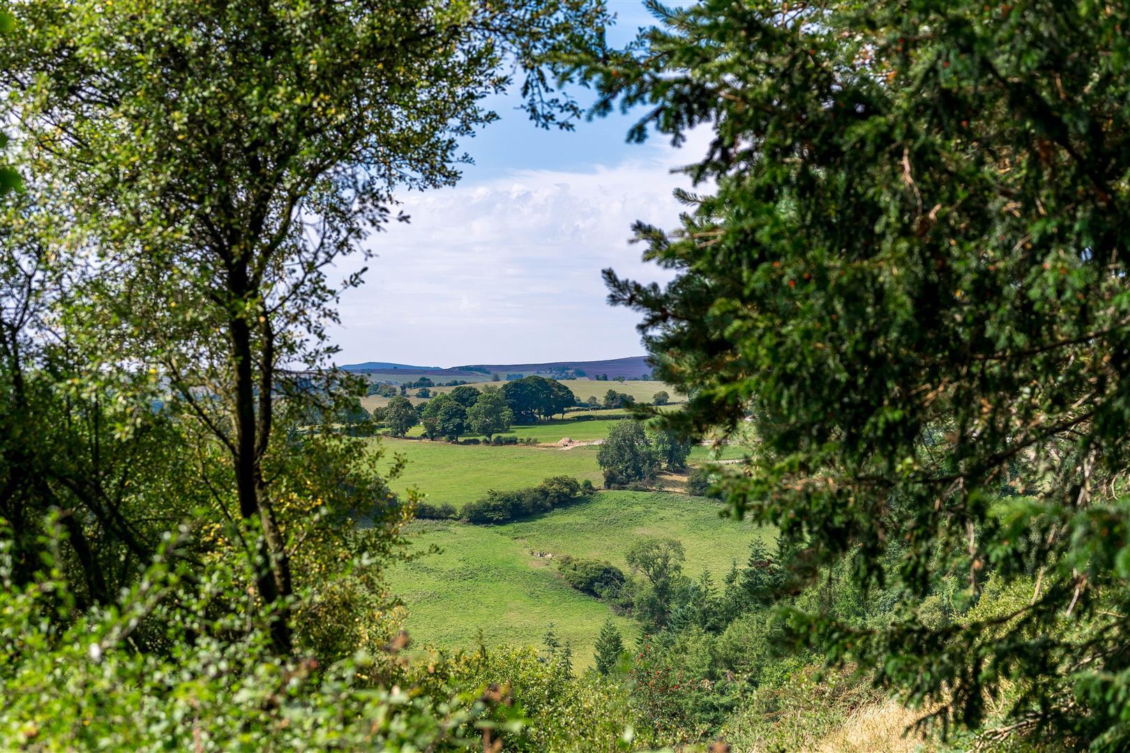 Property Image 442984ec-36d8-4b4b-b399-84520c8f1fcb
