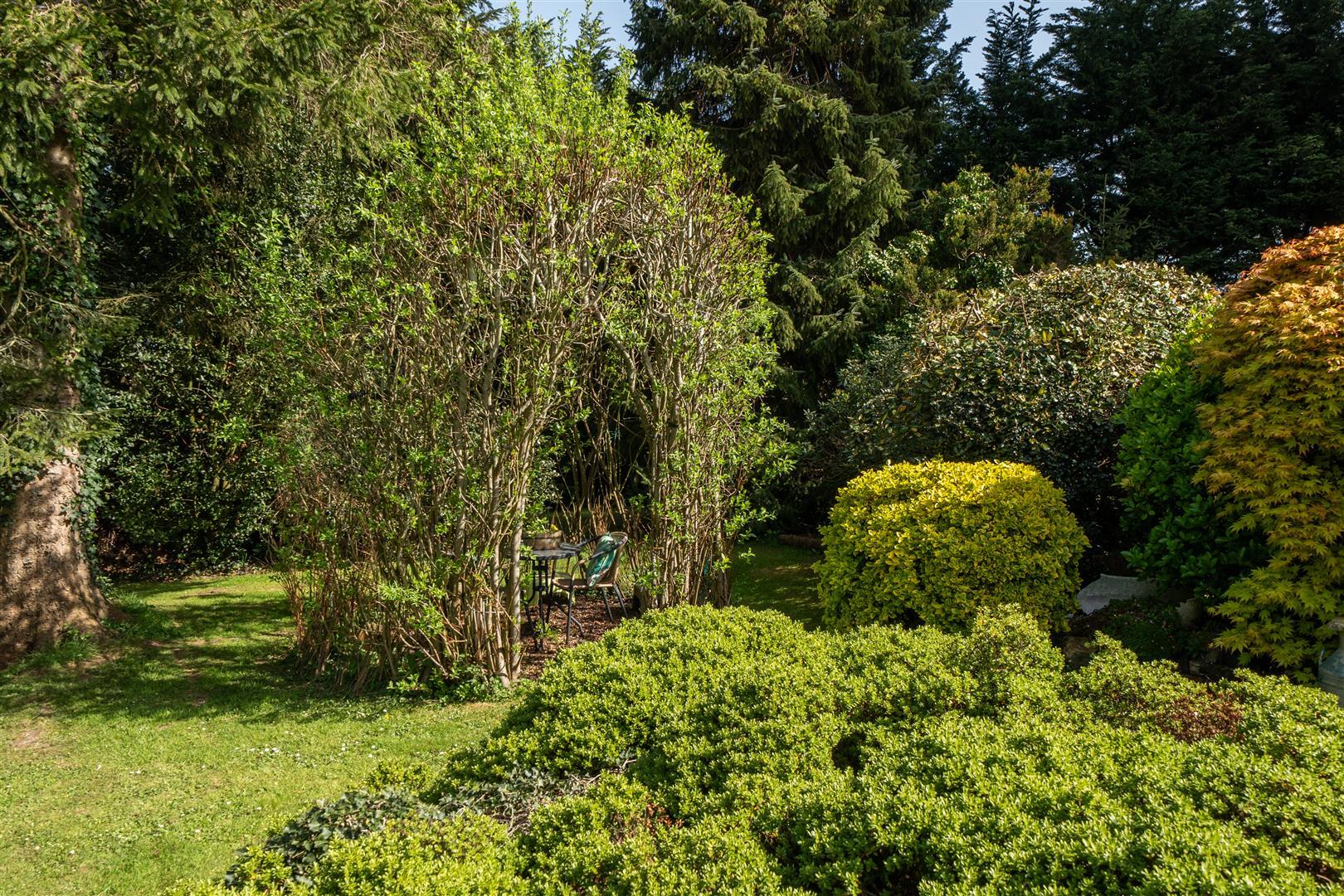 Property Image 4445d38b-3e1c-47e8-b69e-a6cc0d0c3794