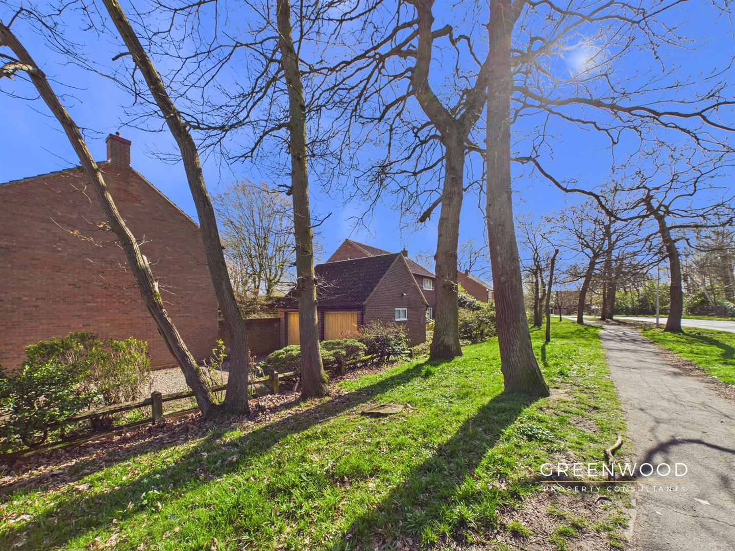 Property Image 444af361-58a1-46cf-bcda-49d380eef928