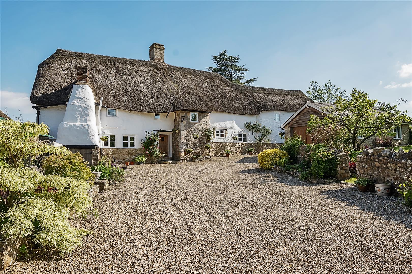 Property Image 4465fdb8-aeaa-47db-991f-cf422af95172
