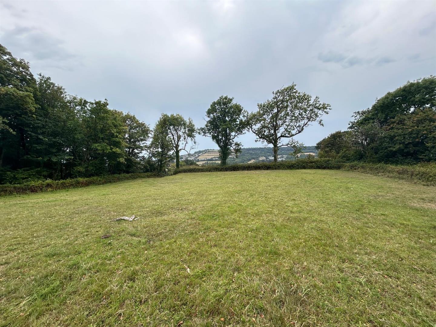Property Image 447906fa-968d-4b5f-9056-7f7f5f8dcac2