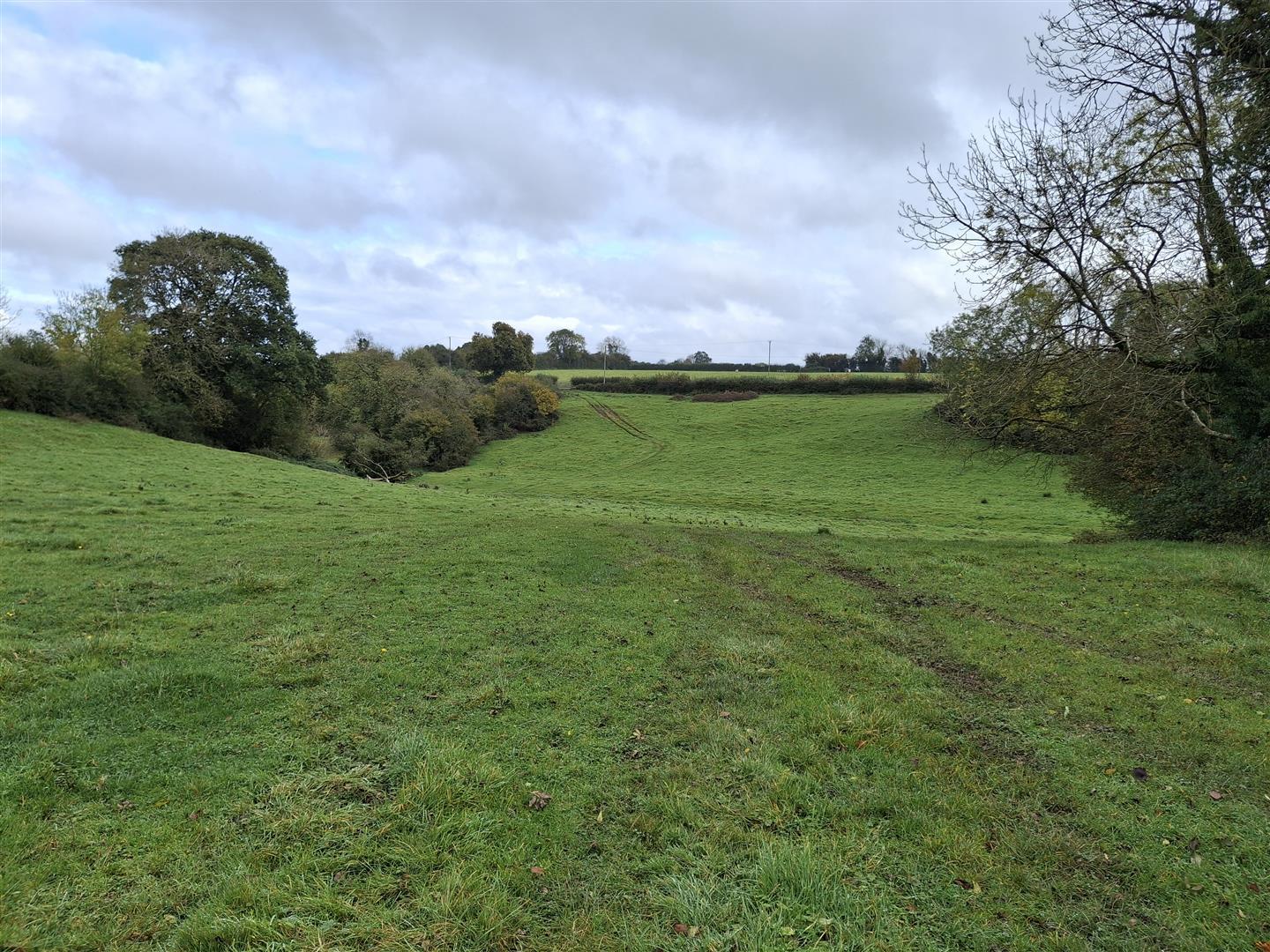 Property Image 447950a7-2e8b-475e-89bf-bd6d99d45d1a
