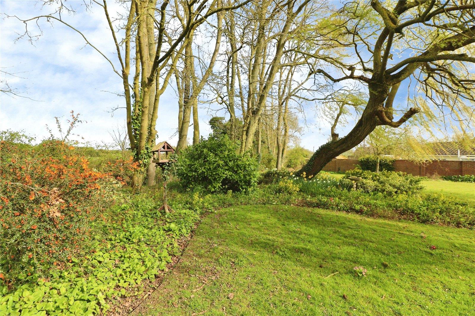 Property Image 449035d5-4cd8-49c5-a33c-7ed405563f26