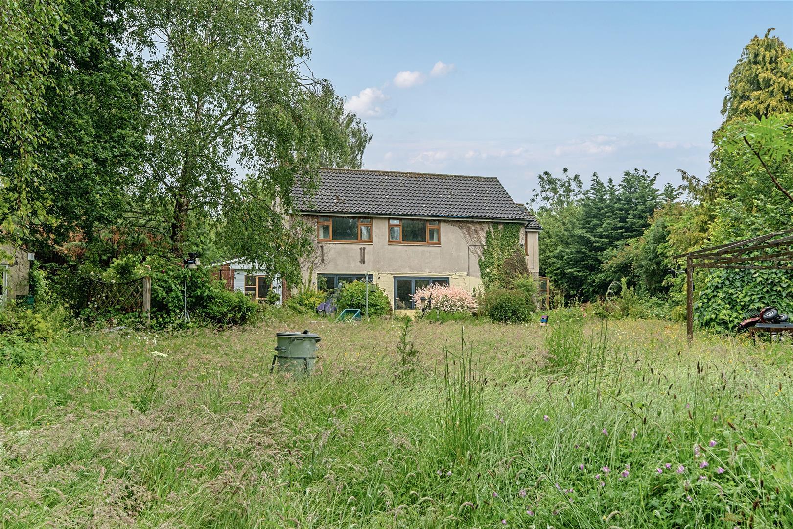 Property Image 44a0caec-efd8-4ef8-8841-0c65cad20dce
