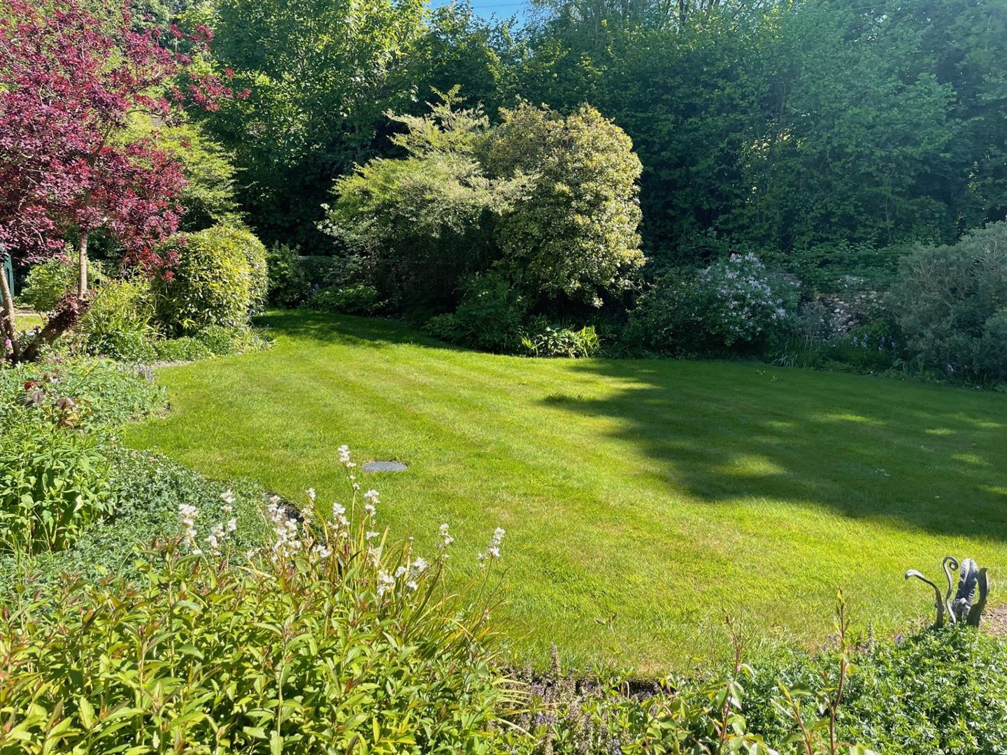 Property Image 44af5f9d-087c-42d2-9416-f4a2606e928d