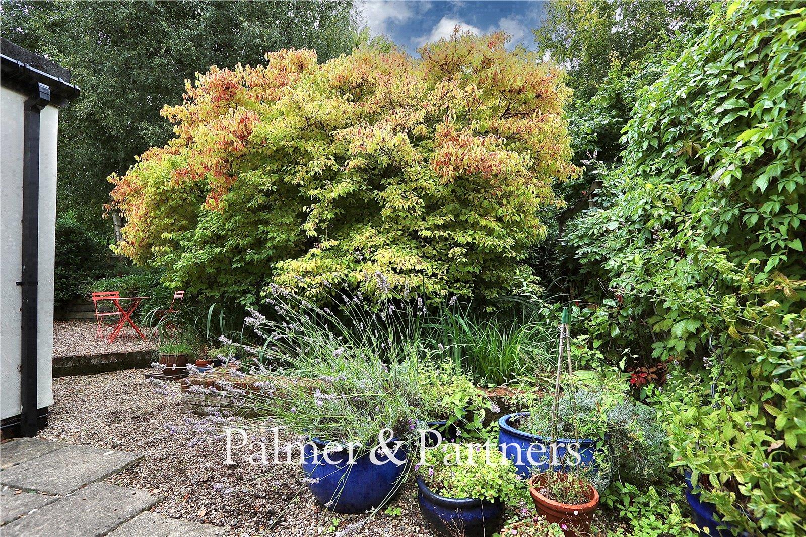 Property Image 44ce0d42-c61d-4df5-96a4-4db84f99b852