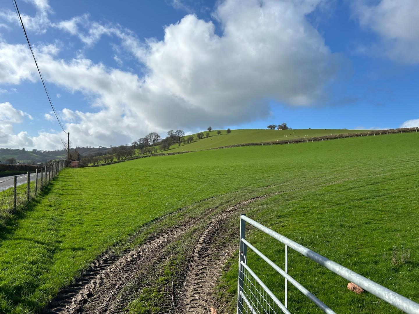 Property Image 44d9122e-e91e-481c-86c8-c24520cce268